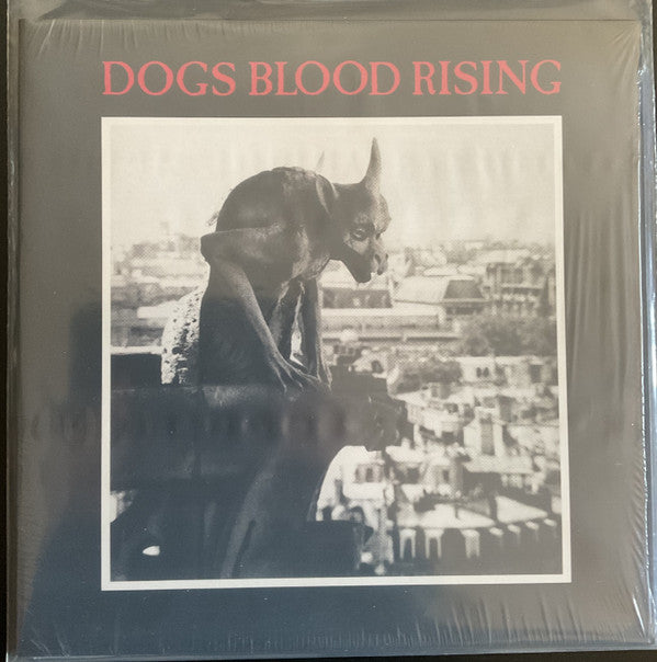 DOGS BLOOD RISING
