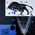 NIGHT SONGS