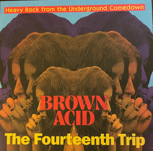 Brown Acid: The Fourteenth Trip (Heavy Rock From The Underground Comedown)