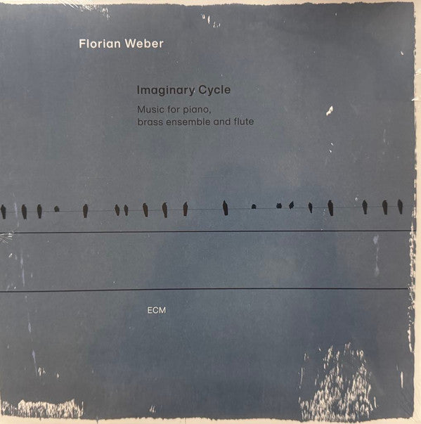 Imaginary Cycle (Music For Piano, Brass Ensemble And Flute)