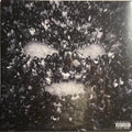 Musica Cicatrene (Album Version)
