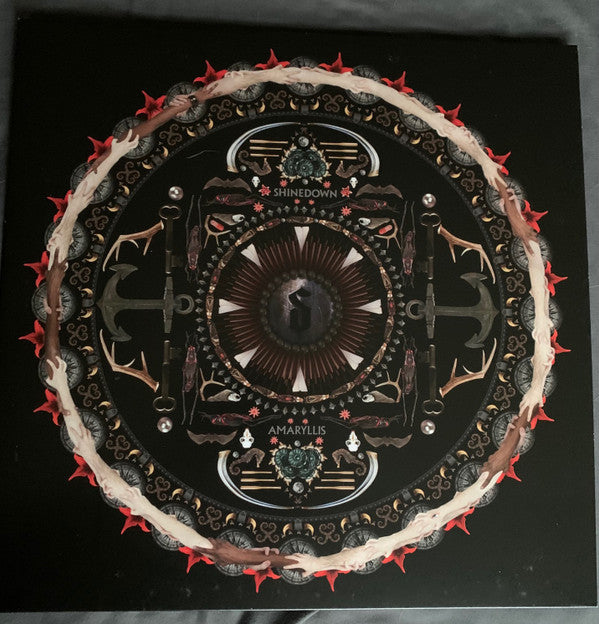 Amaryllis