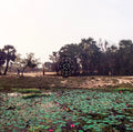 KALAK