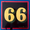 66