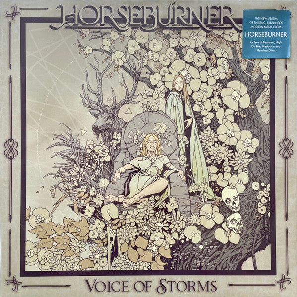 Voice Of Storms