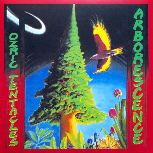 Arborescence