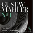 Symphony N°1
