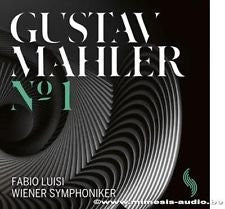 Symphony N°1