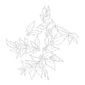 Momenta Quintae Essentiae