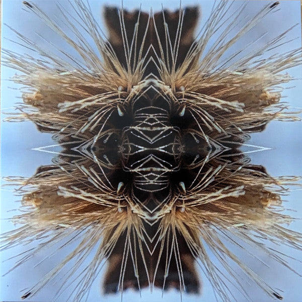 SUTRA