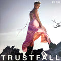 TRUSTFALL
