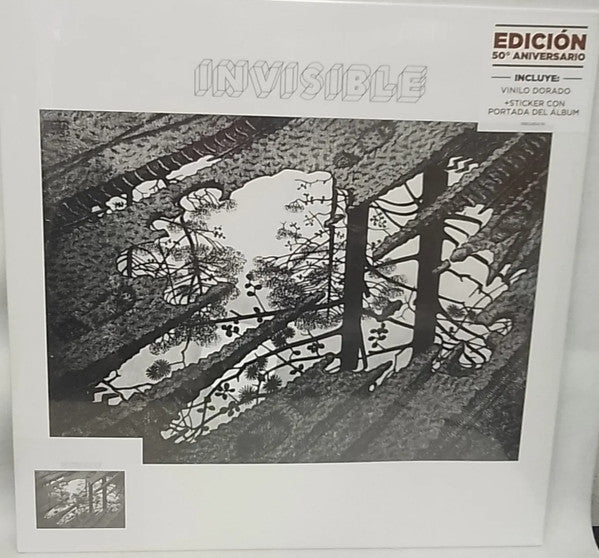 Invisible (50 Ados)
