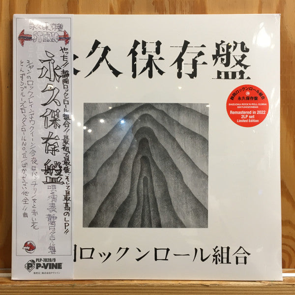 永久保存盤