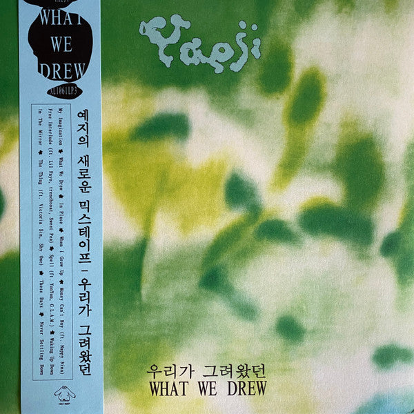 What We Drew = 우리가 그려왔던
