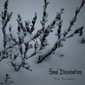 Winter Contemplations