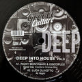 DEEP INTO HOUSE VOL. 3