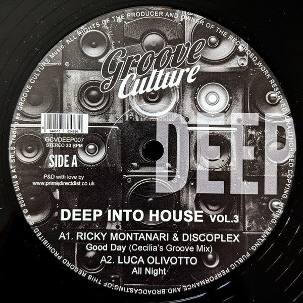 DEEP INTO HOUSE VOL. 3