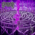 MAZE ENVY