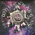 The Purple Tour [Live]
