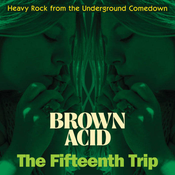 Brown Acid: The Fifteenth Trip (Heavy Rock From The American Comedown Era)