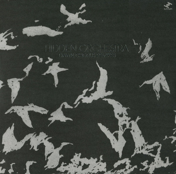 Dawn Chorus Remixes