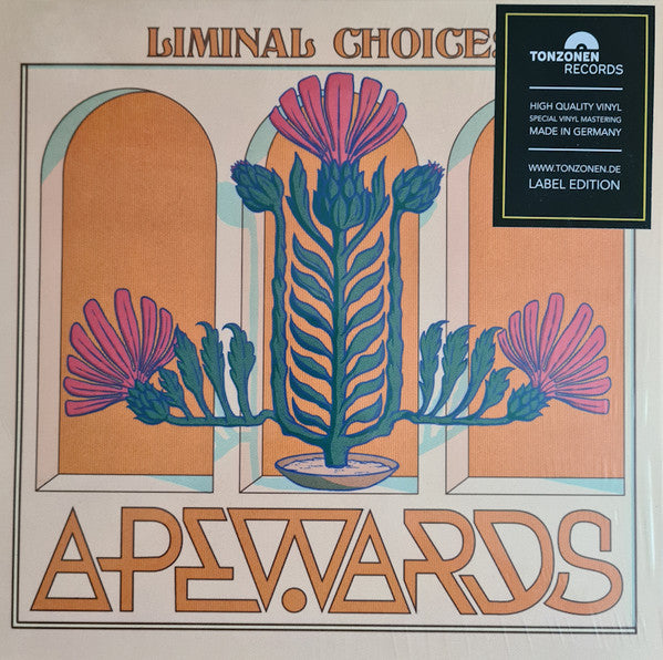 LIMINAL CHOICES