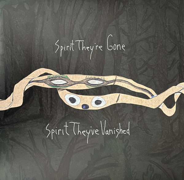 SPIRIT THEY'RE GONE, SPIRIT THEY'VE VANISHED