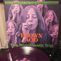 BROWN ACID: THE NINETEENTH TRIP