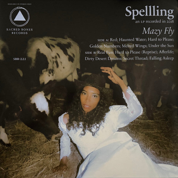 Mazy Fly