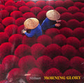 Morning Glory