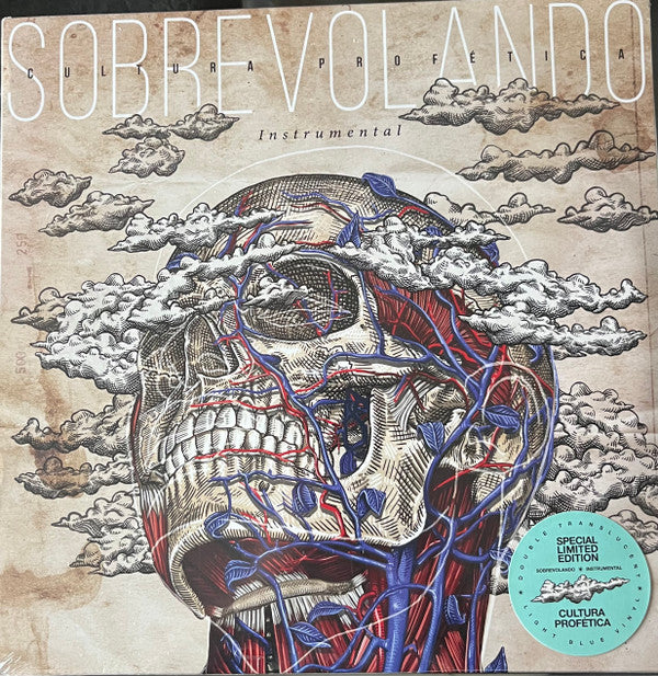 Sobrevolando Instrumental