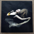 Silent Chamber, Noisy Heart