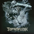 Amphibians