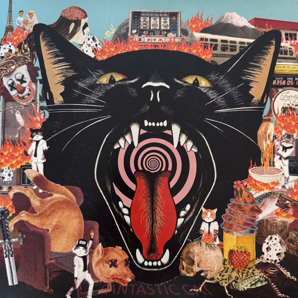 CAT OUT OF HELL