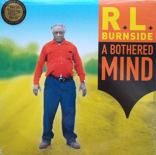A Bothered Mind