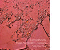 Music For Healing - Colours Volume Two