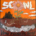 How Flowers Grow