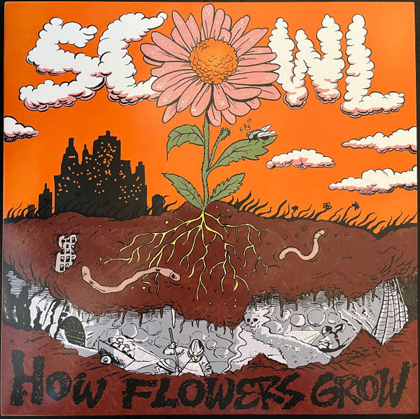 How Flowers Grow
