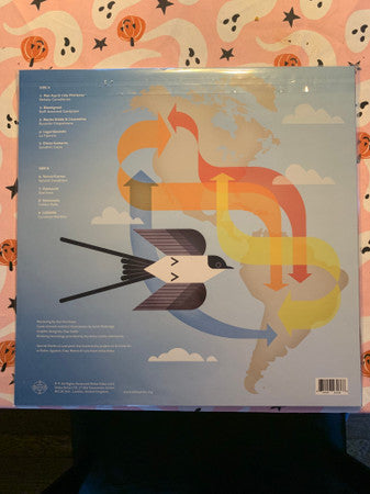A Guide To The Birdsong Of Migration