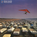 MOMENTARY LAPSE OF REASON