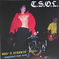 Who's Screwin' Who? (Greatest Non-Hits)