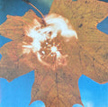 Сила ветра = Force Of The Wind