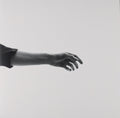 LIMBS