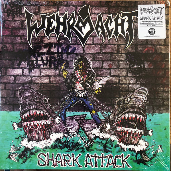 Shark Attack