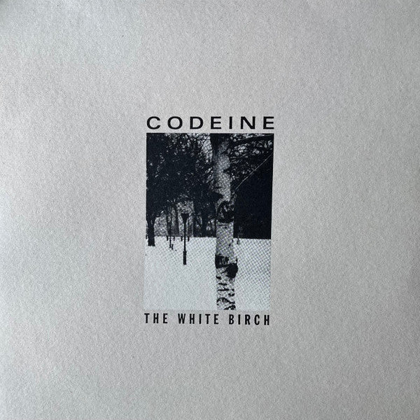 The White Birch