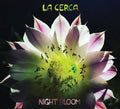 NIGHT BLOOM