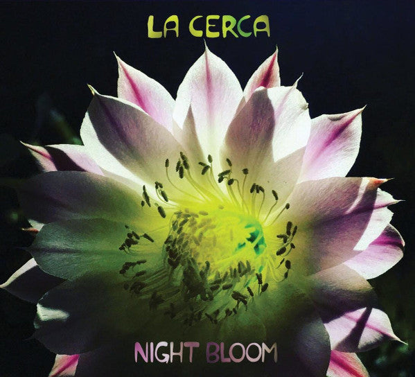 NIGHT BLOOM