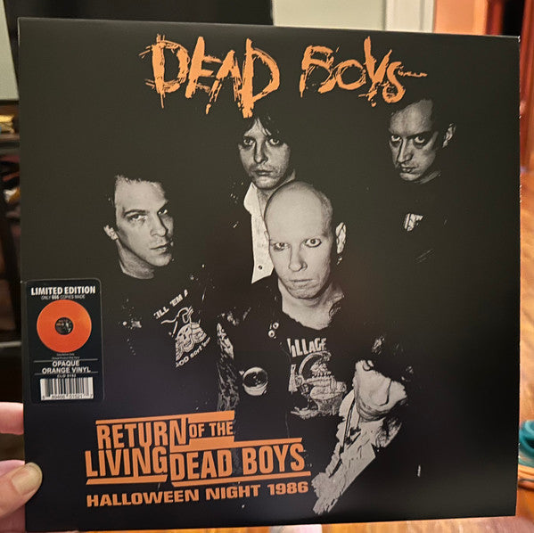 RETURN OF THE LIVING DEAD BOYS - HALLOWEEN NIGHT