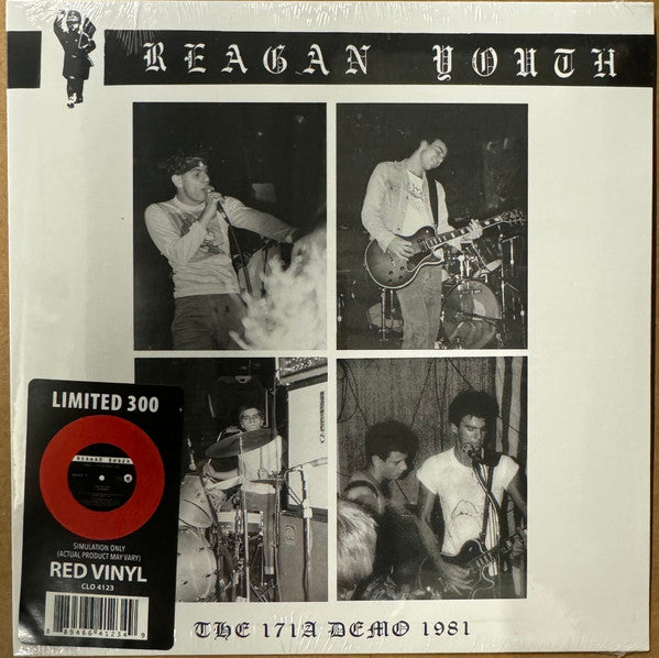 171A DEMO 1981