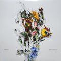 CHAOS OF FLOWERS